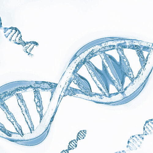 DNA - Angewandte Epigenetik und DNA Heilung