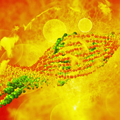 DNA - sipirituelle DNA