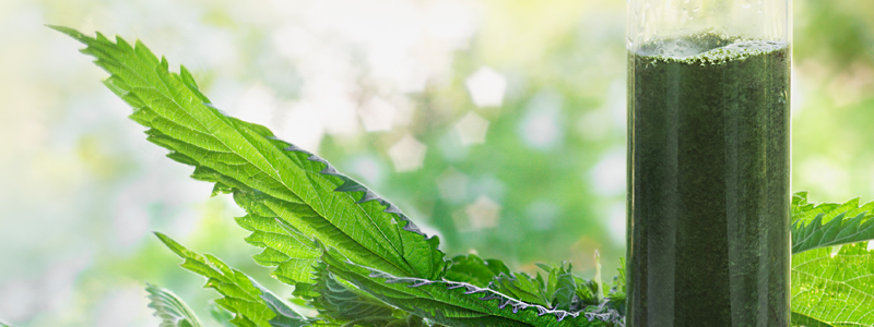 Nahrungsergänzung und Superfoods - vitale Ernährung