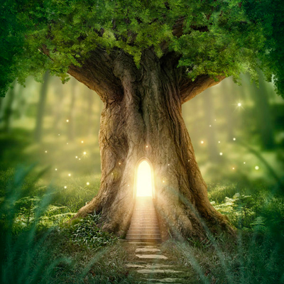 Naturgeister – Natur, Wald und Baum