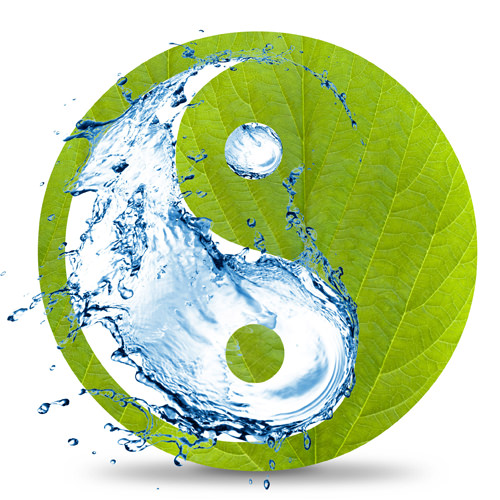 Ying Yang